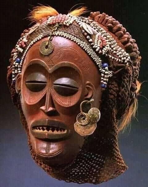 whatsapp image 2026 03 19 at 20.11.17